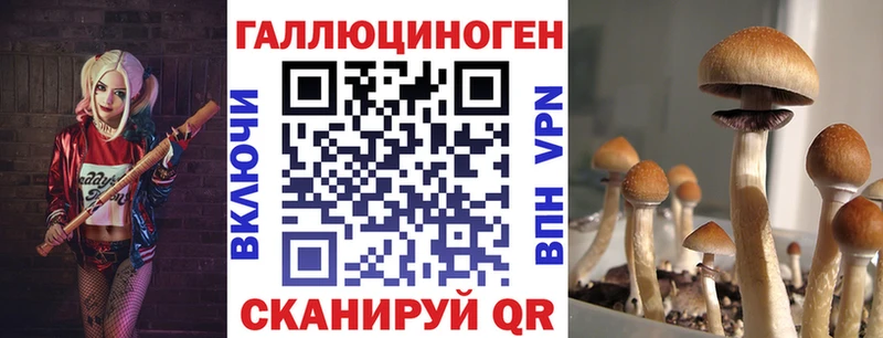 Галлюциногенные грибы мухоморы  Лабинск 